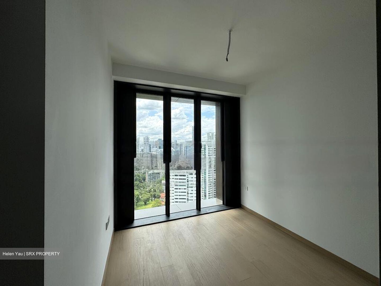 Irwell Hill Residences (D9), Apartment #461456541